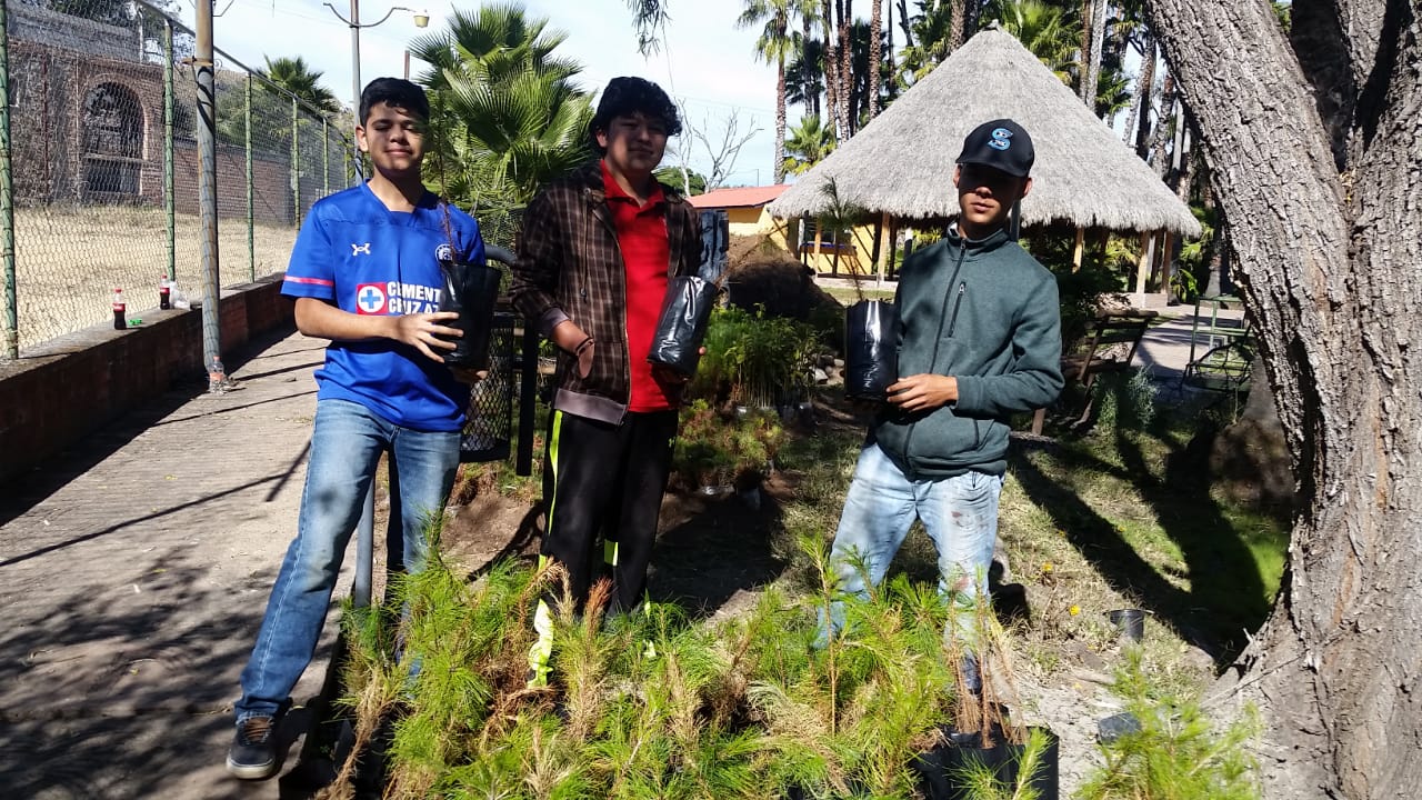Ecología